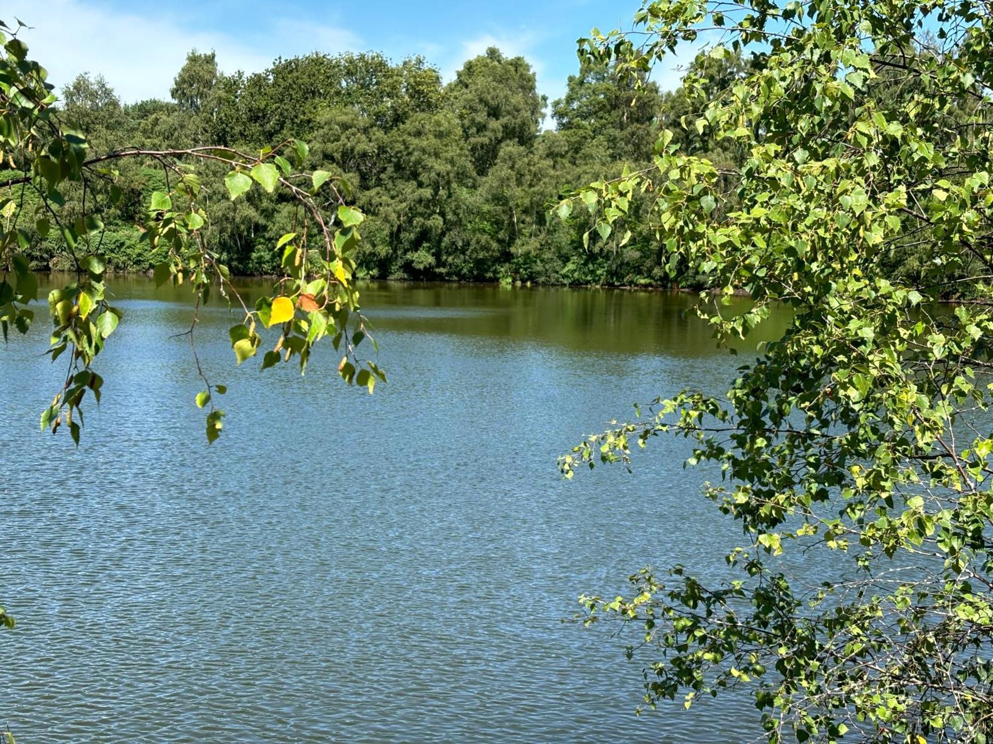 Вилла The Annexe At Gomo East Winch Экстерьер фото